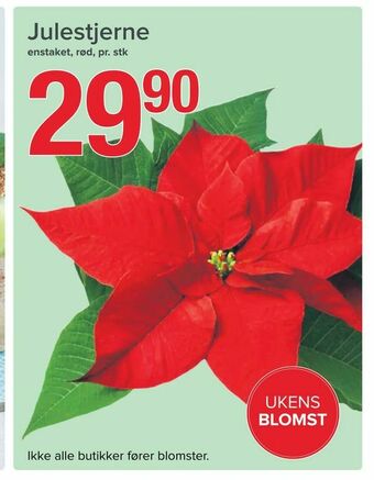 Spar Julestjerne tilbud