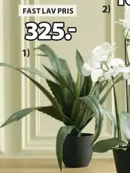 JYSK CELIUS KUNSTIG PLANTE tilbud