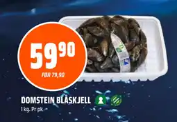 Coop Obs DOMSTEIN BLÅSKJELL tilbud