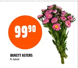 Coop Obs BUKETT ASTERS tilbud