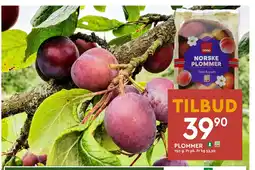 Coop Mega PLOMMER tilbud
