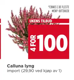 Meny Calluna lyng tilbud