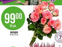 Kiwi ROSER tilbud