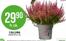 Kiwi CALLUNA tilbud