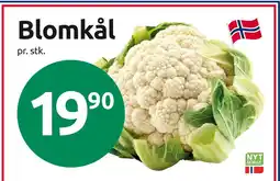 Joker Blomkål tilbud