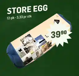 Holdbart Store Egg tilbud
