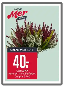 Europris CALLUNA tilbud