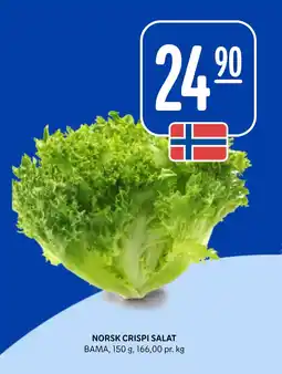 Rema 1000 NORSK CRISPI SALAT tilbud