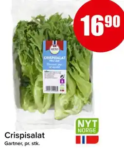 Spar GARTNER Crispisalat tilbud