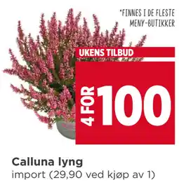 Meny Calluna lyng tilbud