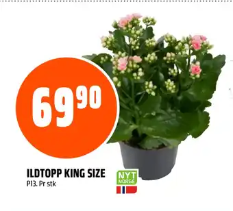 Coop Obs ILDTOPP KING SIZE tilbud
