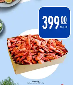 Rema 1000 REKER 70/90 tilbud