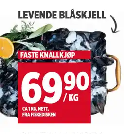 Meny LEVENDE BLÅSKJELL tilbud