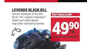 Meny Levende blåskjell tilbud
