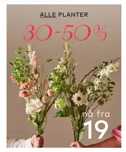 Skeidar ALLE PLANTER tilbud