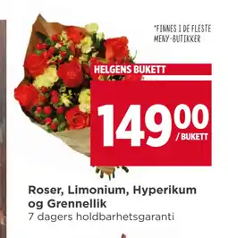 Meny Roser, Limonium, Hyperikum og Grennellik tilbud
