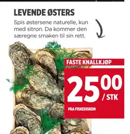 Meny LEVENDE ØSTERS tilbud