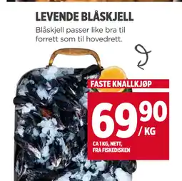Meny LEVENDE BLÅSKJELL tilbud