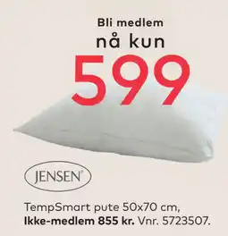 Skeidar TempSmart pute 50x70 cm tilbud