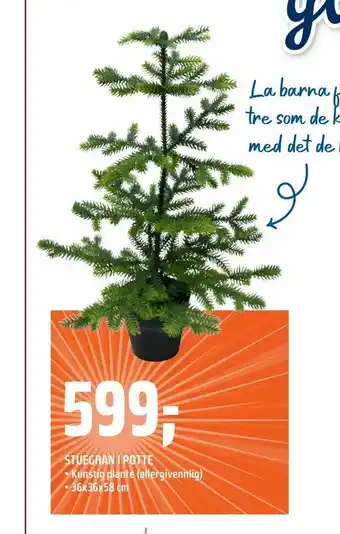 Coop Obs Stuegran i potte tilbud