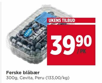 Meny Ferske blåbær tilbud