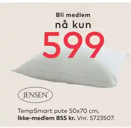 Skeidar TempSmart pute 50x70 cm tilbud