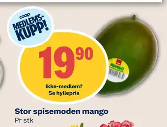 Coop Mega Stor spisemoden mango tilbud