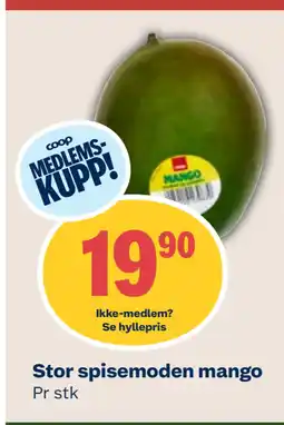 Coop Mega Stor spisemoden mango tilbud