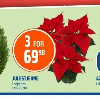 Coop Obs Julestjerne tilbud