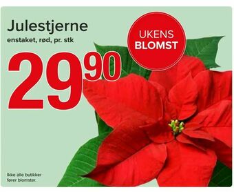 Spar Julestjerne tilbud