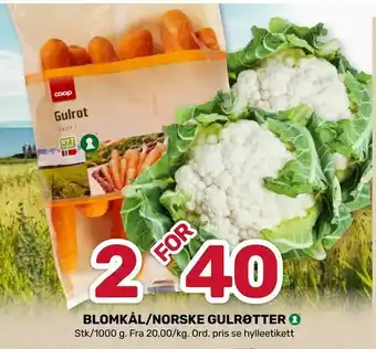 Blomkål/norske gulrøtter