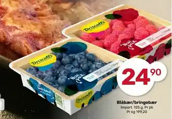 Blåbær/bringebær
