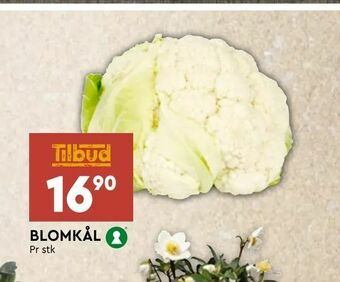 Coop Mega Blomkål tilbud