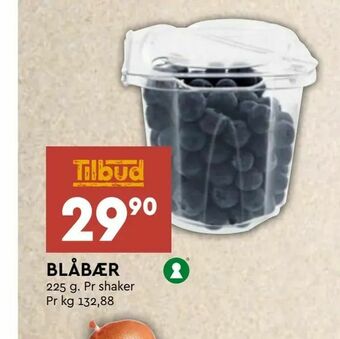 Coop Mega Blåbær tilbud
