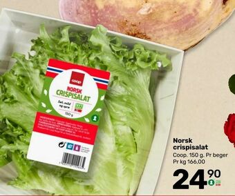 Matkroken Norsk crispisalat tilbud