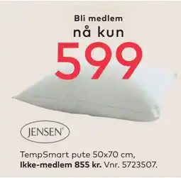 Skeidar TempSmart pute 50x70 cm tilbud