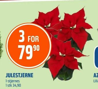 Coop Obs Julestjerne tilbud