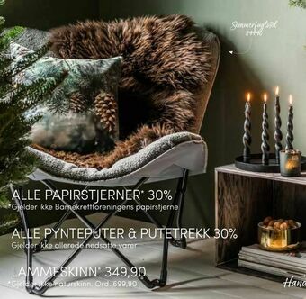 Nille Lammeskinn tilbud