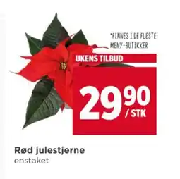 Meny Rød julestjerne tilbud