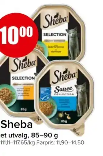 Spar SHEBA tilbud