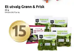 Joker Et utvalg Grønn & Frisk tilbud