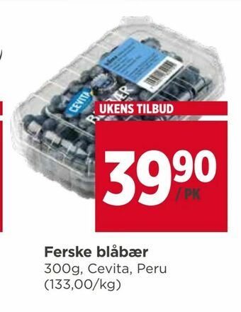Meny Ferske blåbær tilbud