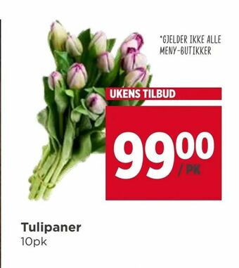 Meny Tulipaner tilbud