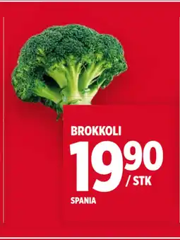 Meny BROKKOLI tilbud