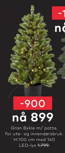 Skeidar Gran Bykle m/ potte tilbud