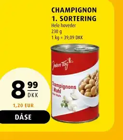 Scandinavian Park Champignon 1. sortering tilbud