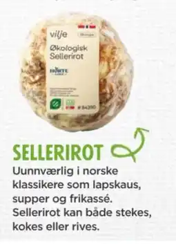 Meny Sellerirot tilbud