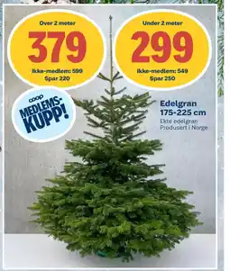 Coop Byggmix Edelgran tilbud