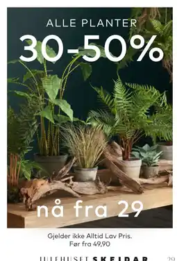 Skeidar ALLE PLANTER tilbud