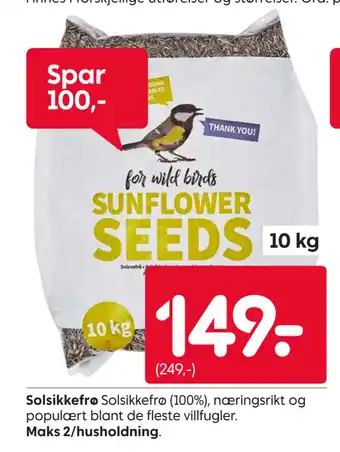 Rusta Solsikkefrø tilbud